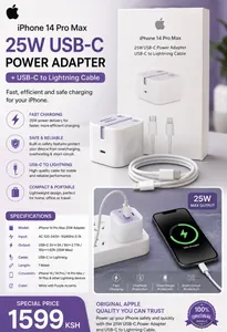 Original iPhone charger 25W